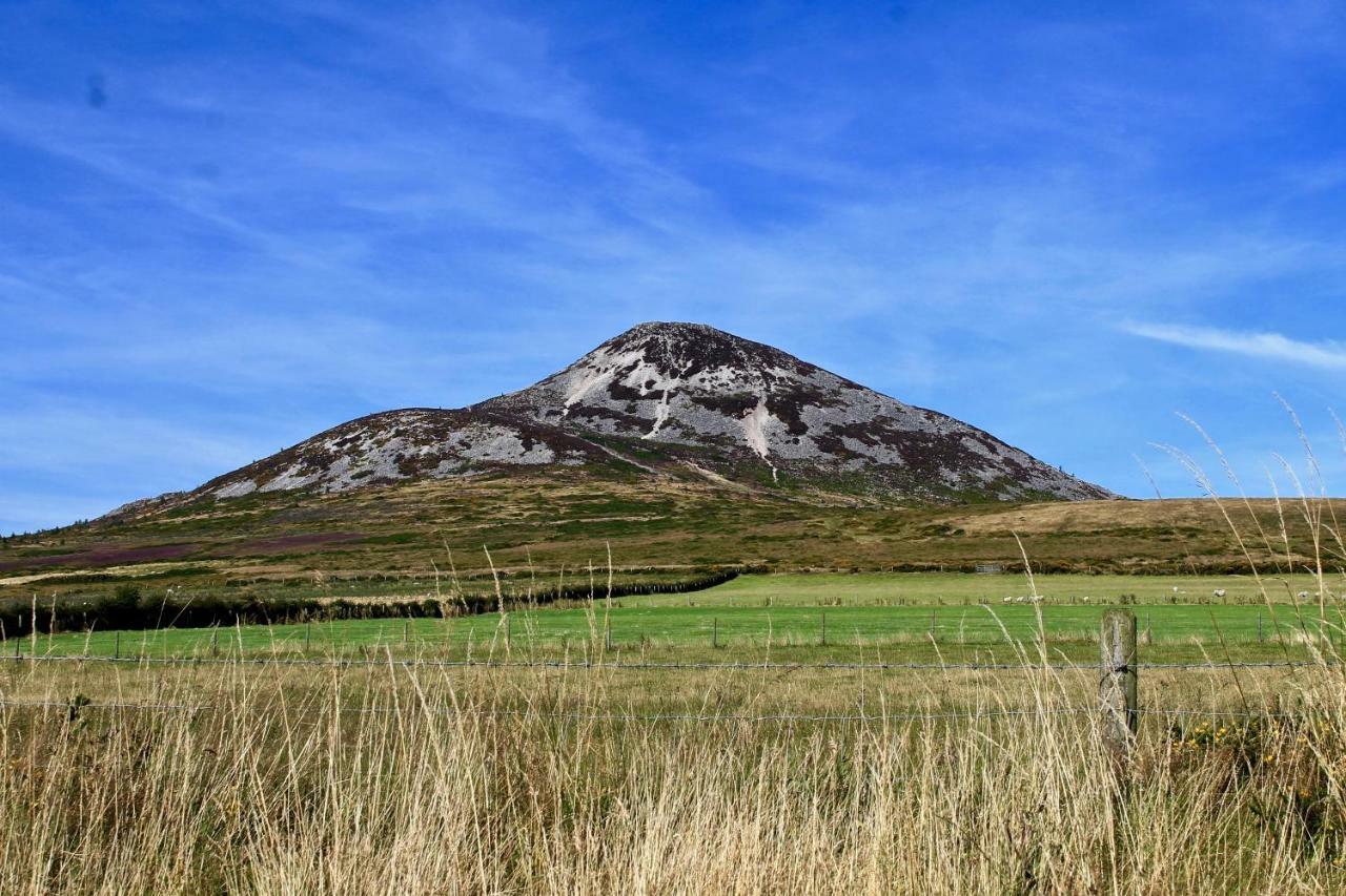 Gasthaus The Nook County Dublin Exterior foto